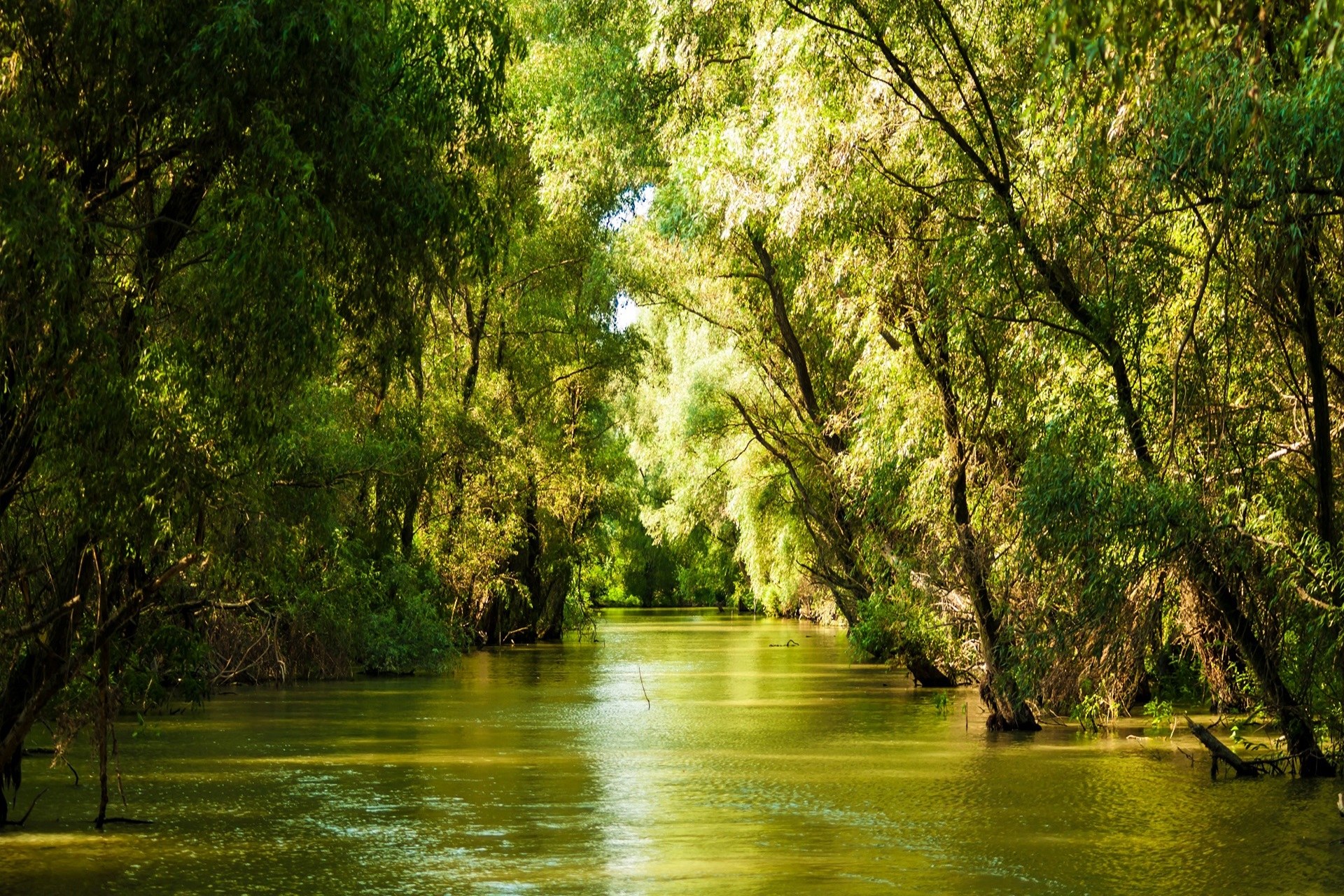 Descoperă Delta Dunării
